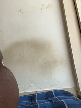 floctous: διαδικτυακό σόου στην κάμερα