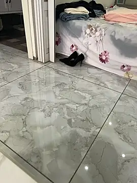 Show webcam de aiye666