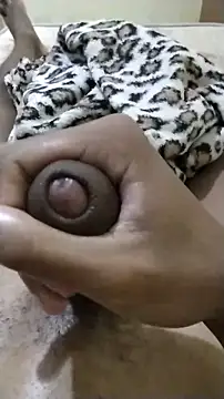 Novinhoie Pertunjukan Webcam