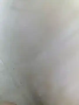 Онлайн чат XXX polla_large_active