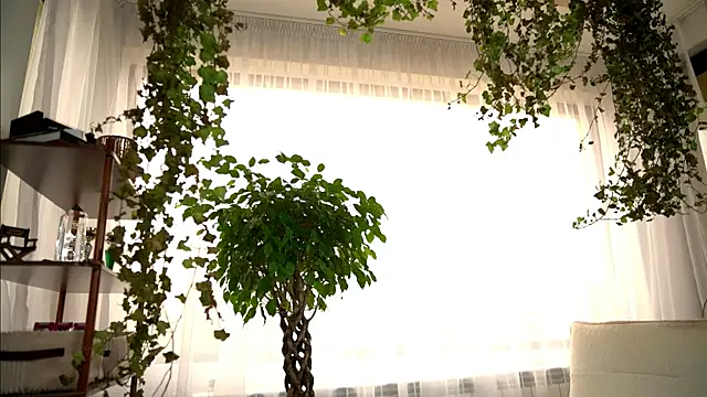 TheMaddisonShow_ Webcam show