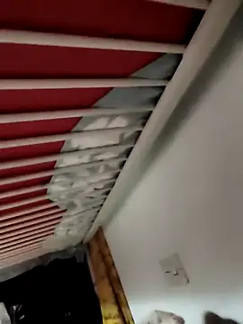 Show modela CattingSample na web-kameri