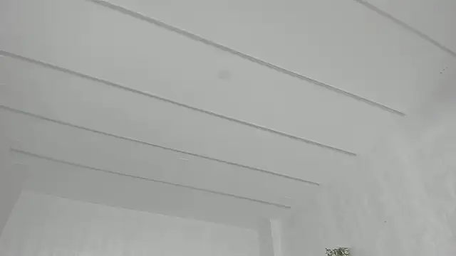 TiffanyHouston_ 라이브 XXX 채팅