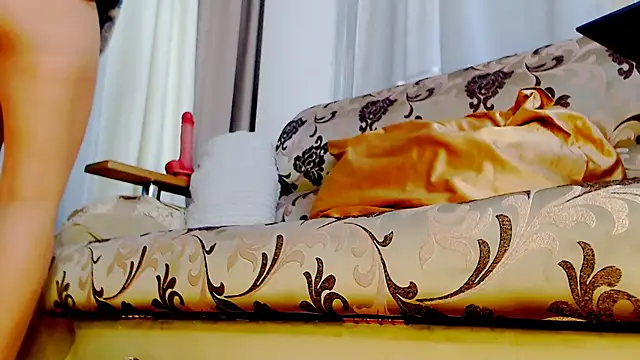 Live_View 웹캠 쇼