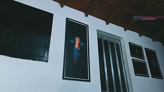 SilvaBranko ওয়েবক্যাম শো