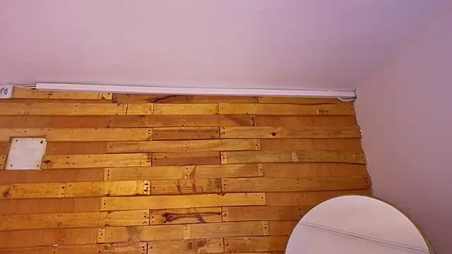 โชว์เว็บแคมของ jack_shine