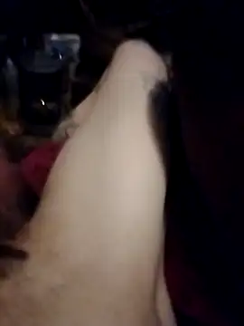 Show webcam de helldonk