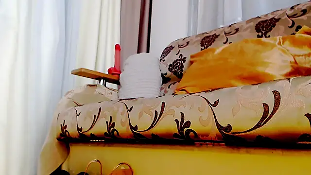 Live_View Webcam show