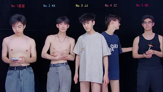 KOboys-818n Webbikameraesitys