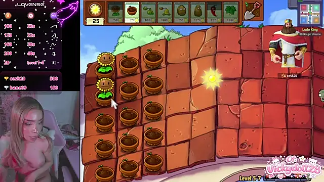 victoriabb28のウェブカメラショー