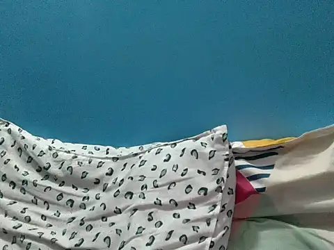 Precumbonerのウェブカメラショー