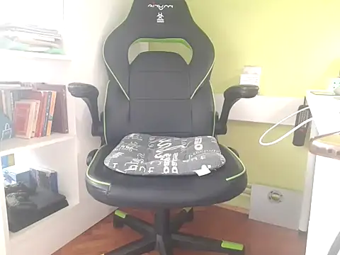 Show de feathersify na webcam