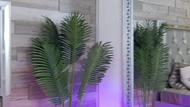 แชท XXX สดของ LunaHart