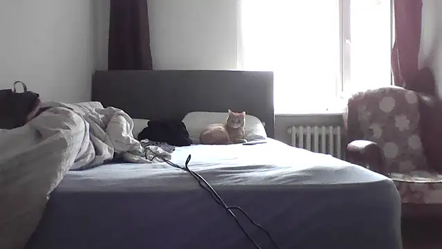 MarkusBerq_H's Webcam Show