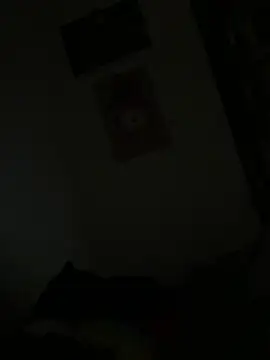 Taydagr8 Webcam-Show