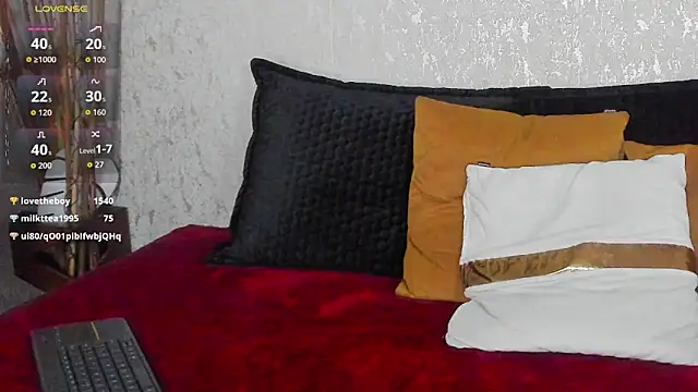 Tyler_durtenn Webbikameraesitys