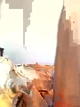 Show Webcam de little-monter