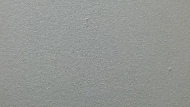 CaballeroNocturno_n Webbikameraesitys