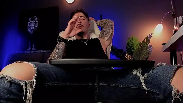 Show modela uptomatty na web-kameri