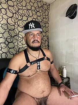 the_master_foal_ 网络视讯表演