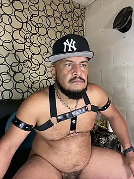 the_master_foal_ 网络视讯表演