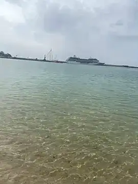 CoraVibes 即時 XXX 聊天