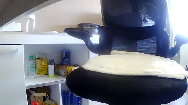 Show Webcam de suedel65