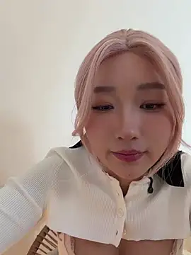 Show Webcam de winter11