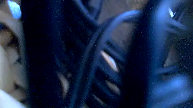 ericlevisiteur's Webcam Show