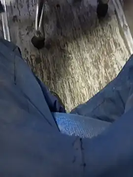 عرض كام Stallionbull37