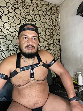 the_master_foal_ 在線直播表演