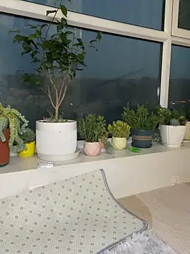 diudiubaobei_ 在線直播表演