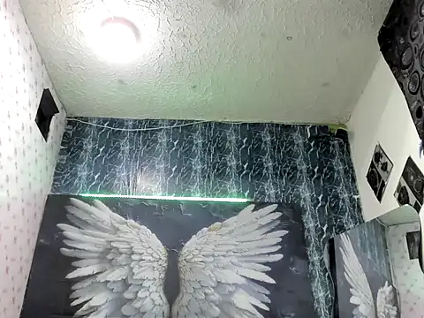 isa_x18n Webbikameraesitys