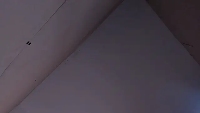 Dante_White 在線直播表演