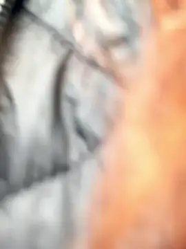 SaintSquirt: онлайн-секс-чат