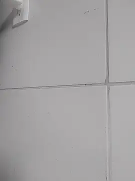 Show de webcam de Misterymem63