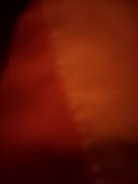 aAsdGfのライブXXXチャット