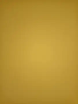 Webkamerová show thich_lo