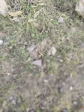 karandeep_Bhagat – Kamerová šou