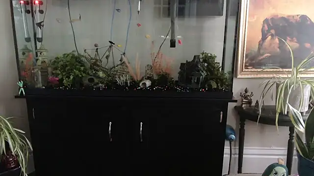 EspanolVato: διαδικτυακό σόου στην κάμερα