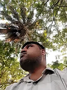 pintuS40 – Kamerová šou