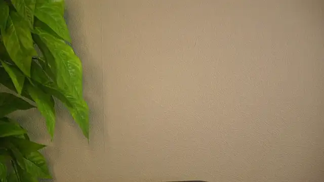 ShelbaCarrahan Live XXX-chat