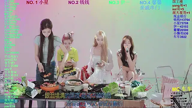 ZZ00033S Show Webcam