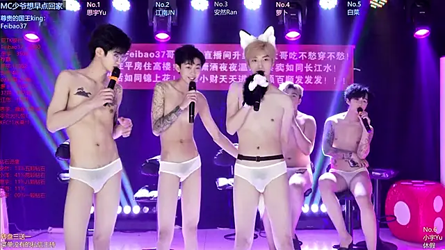 AOA-MIC Show in webcam