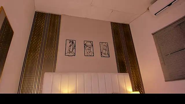 แชท XXX สดของ zoe_sky_