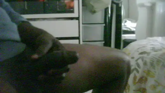 steven_mar43684 Show in webcam