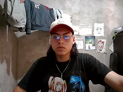 Show webcam de dirty_model