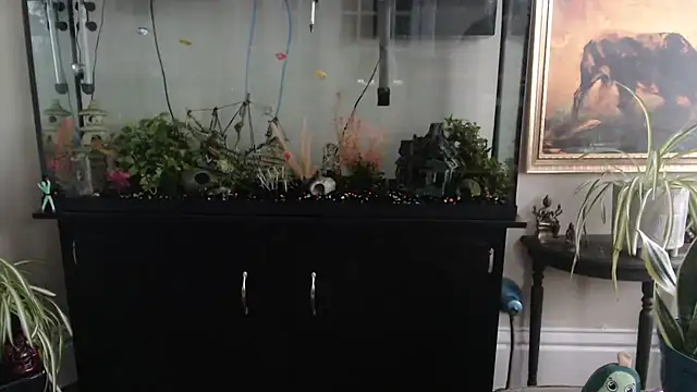 EspanolVato – Naživo XXX chat