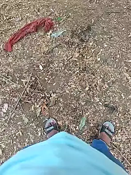 عرض كام AqueousCrepe