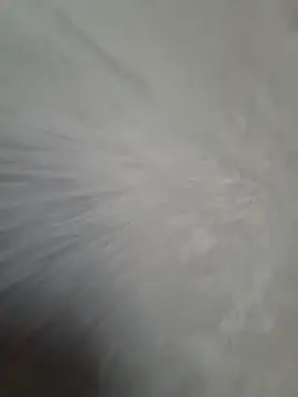 Velkyhuby22 Webcam Show